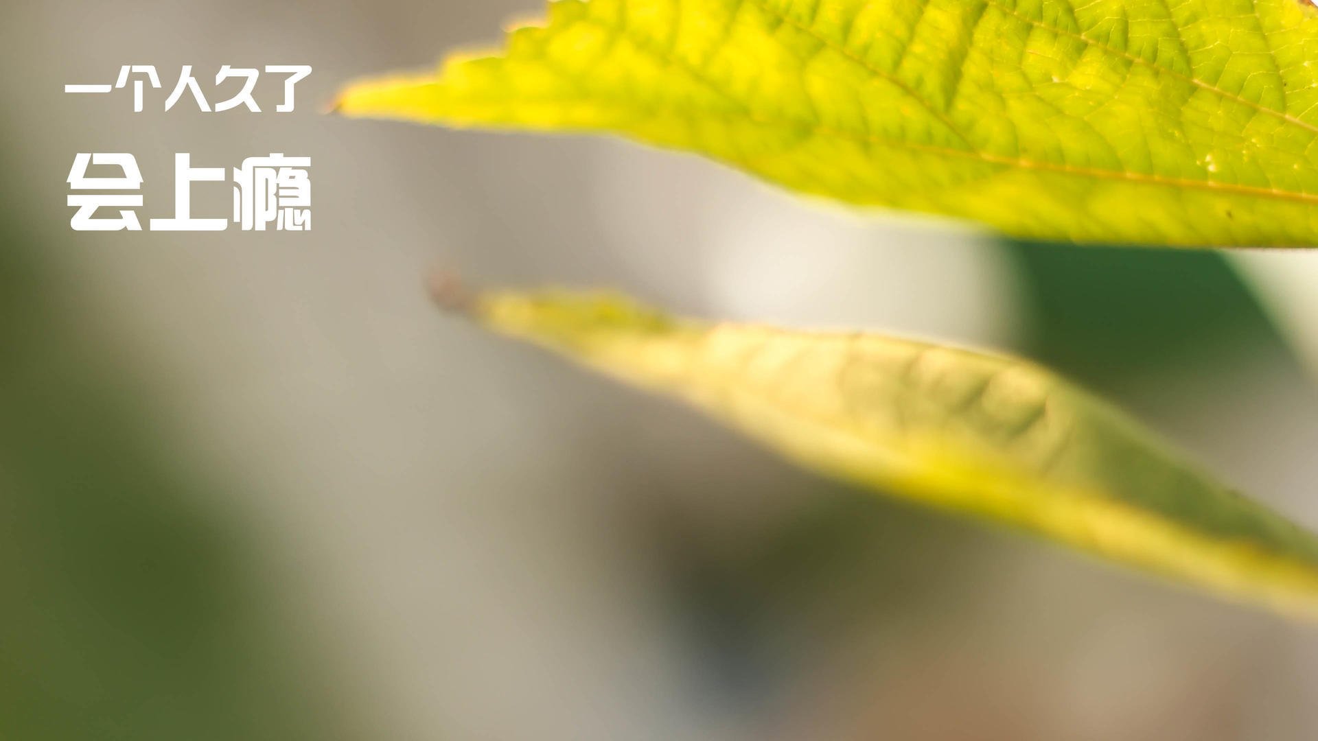 kaiyun中国官方网站-突尼斯希望中场防守压力大，失误增多，突尼斯足球水平