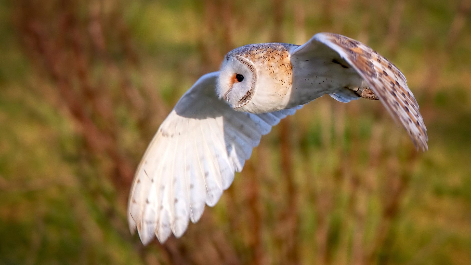 开云全站-赛事组织者培训班增加危机管理课程，赛事组织机构