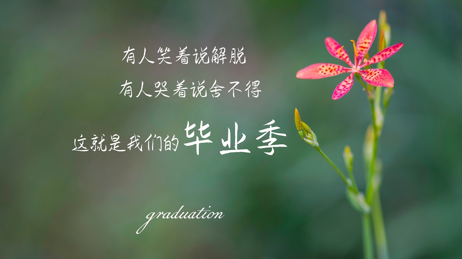 开云官网首页-CBA增强球队与球迷互动提升关注度，cba球队之间的关系