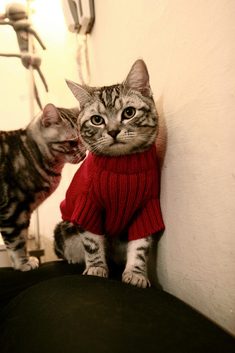 开云·体育官网-世界篮球锦标赛即将开启，全球最优秀球队齐聚一堂，争夺冠军荣誉