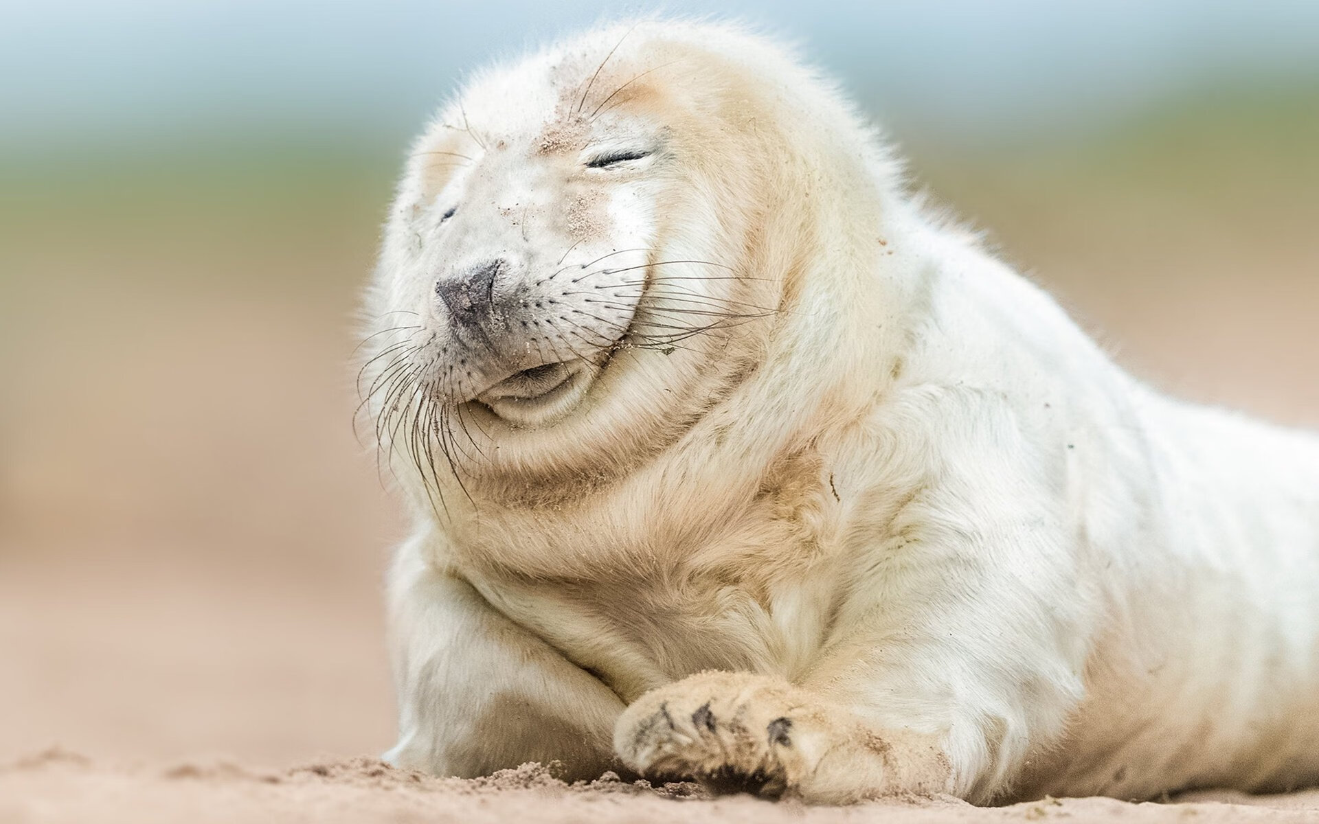 开云中国-自由泳短程希腊速度爆发，自由泳43秒